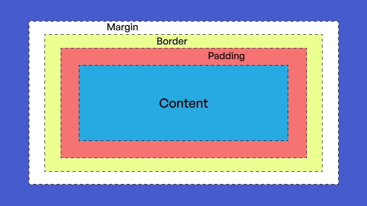 Margin vs Padding CSS | HTML Margin vs Padding | Differences