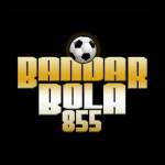 Bandarbola855 Situs Slot Online Profile Picture